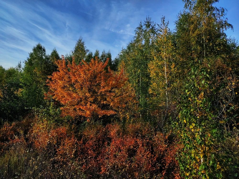 Photograph by Николай Захаров