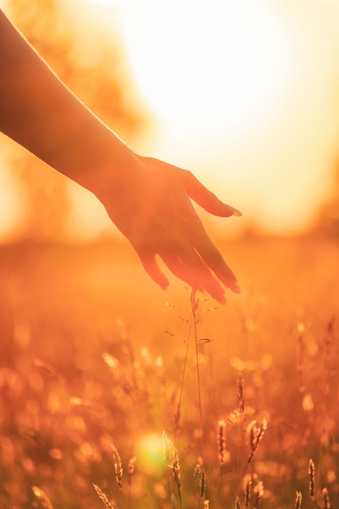 Photograph by Светлана Солдатченкова