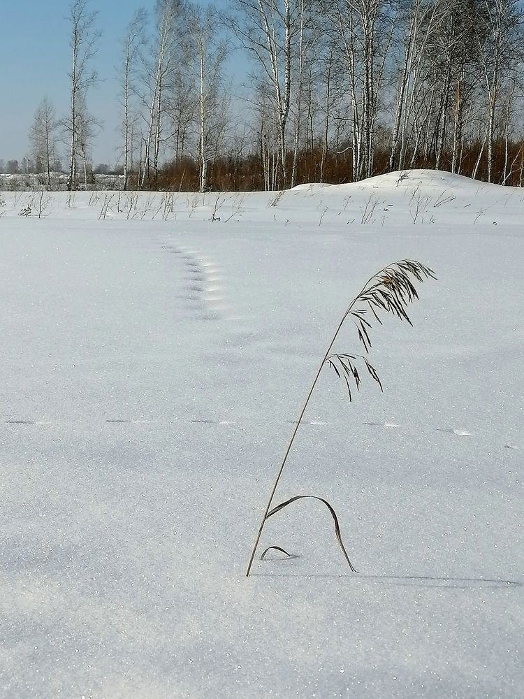 Photograph by Оксана Кабакова