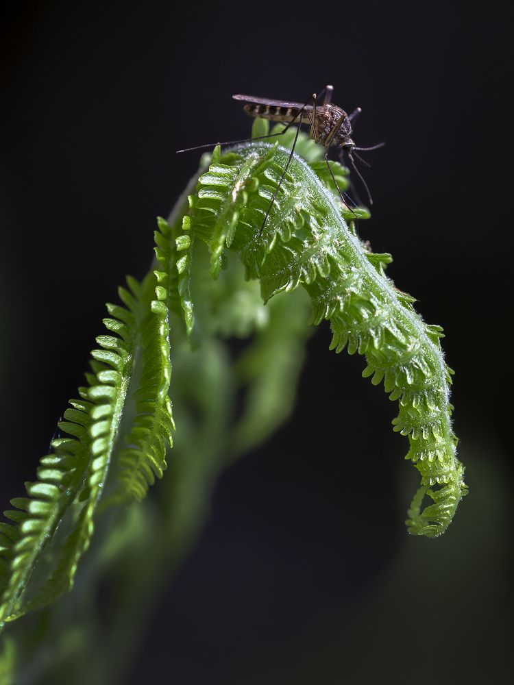 Photograph by Олег Тетерин