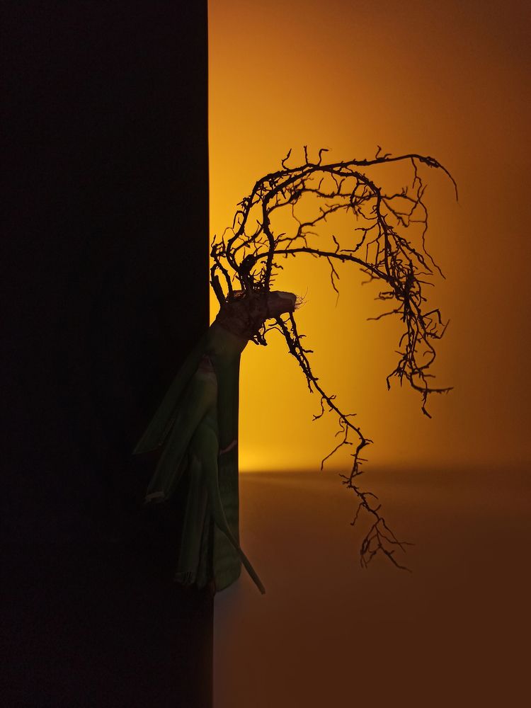 Photograph by Злата