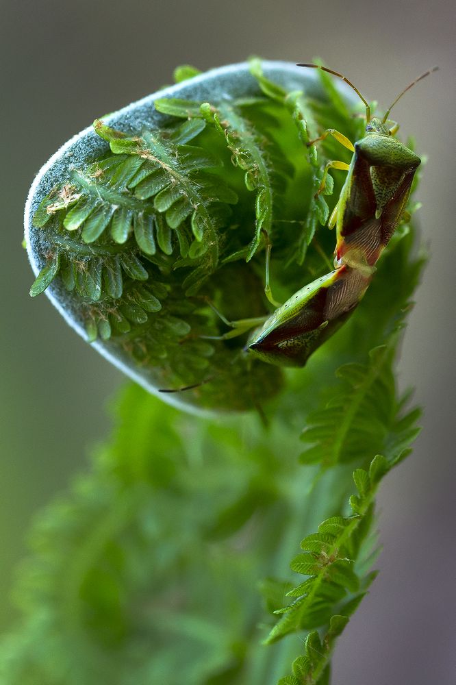 Photograph by Олег Тетерин