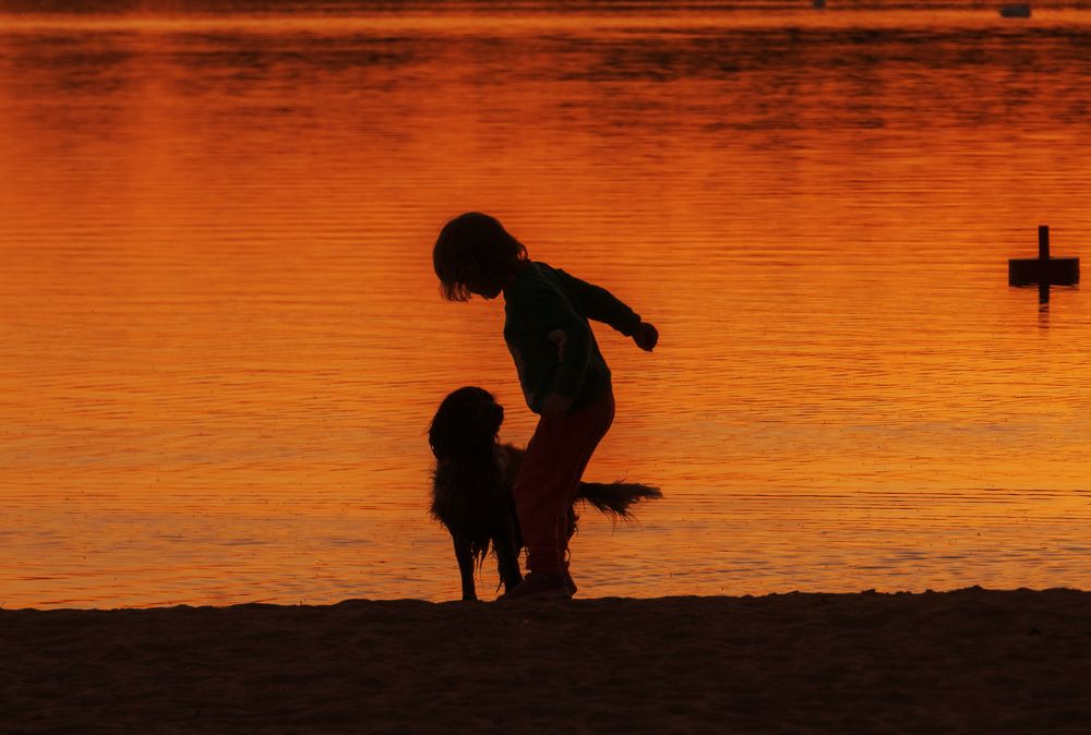 Photograph by Елена Пасажицкая