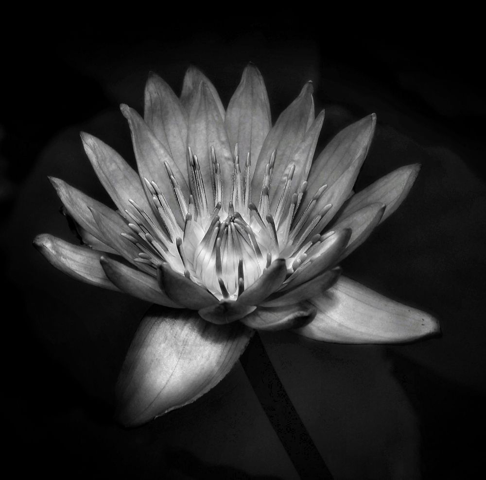 Photograph by Андрюс Киркляускас