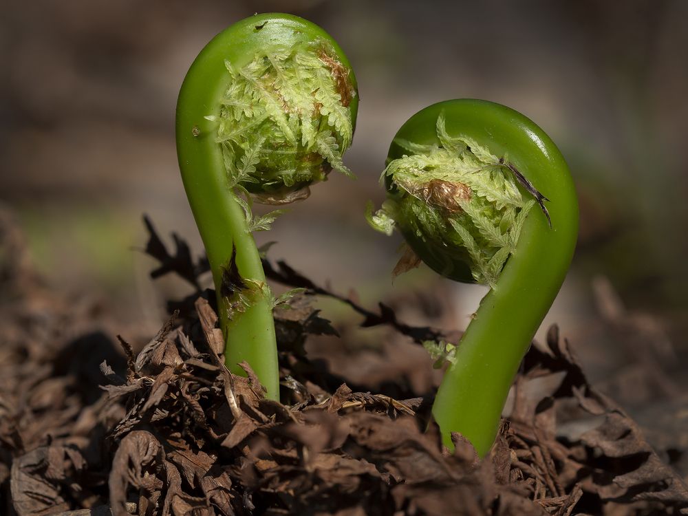 Photograph by Олег Тетерин