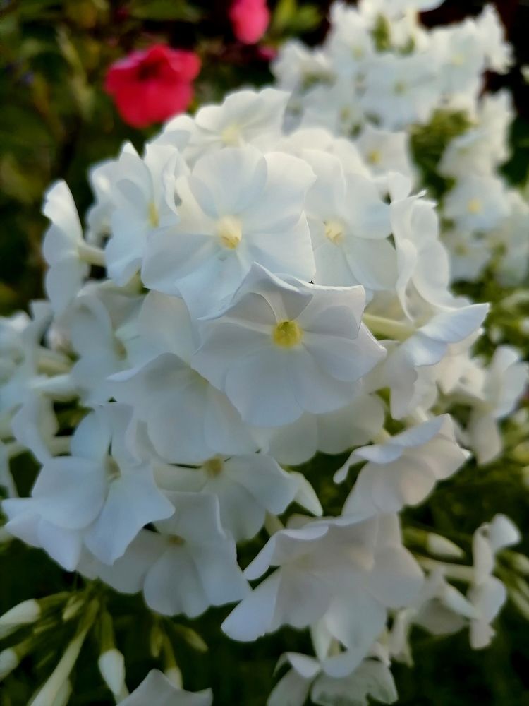 Photograph by Оксана Кабакова