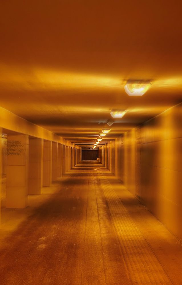 Photograph by Evgenia Privalova