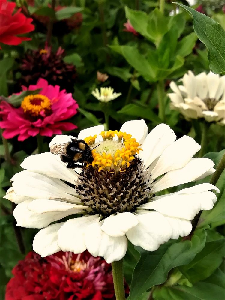 Photograph by Оксана Кабакова