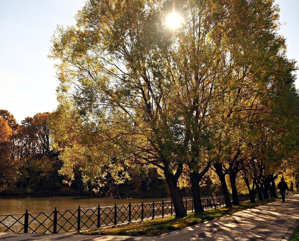 Photograph by Tatyana Markova