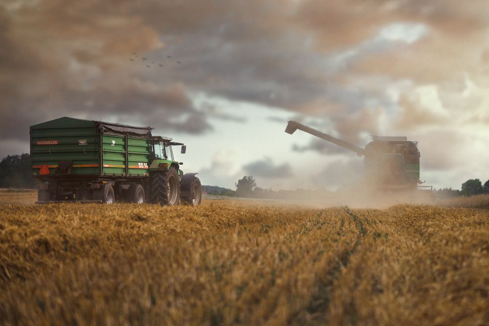 Photograph by Kasia Kapała