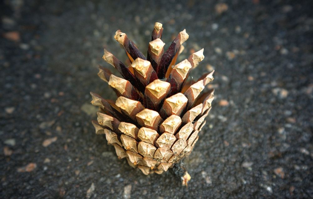 Photograph by Карина Плахова