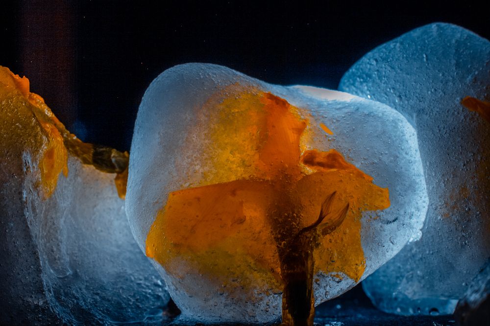 Фотография автора OXANA MARSOVA