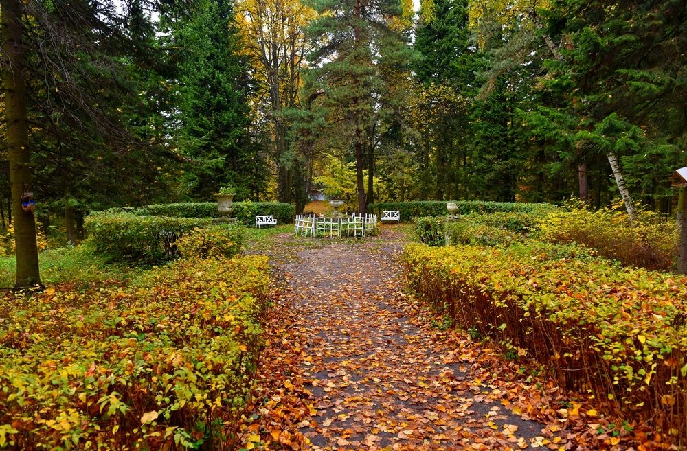 Photograph by Дмитрий Розенбаум