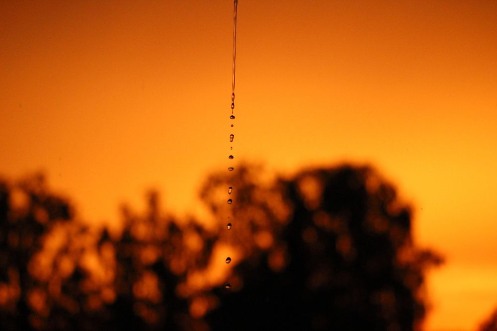 Photograph by Галина Мазур