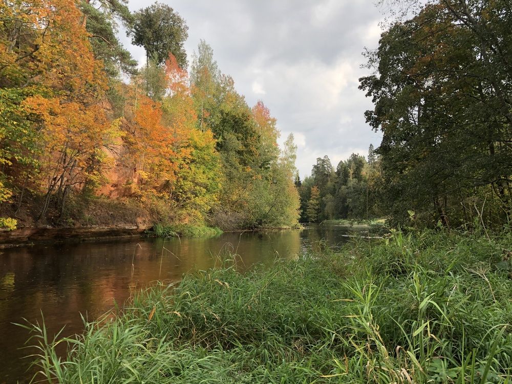 Photograph by Мария Бессмертная