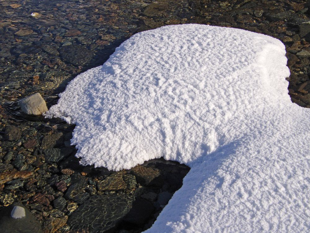 Photo #9578842