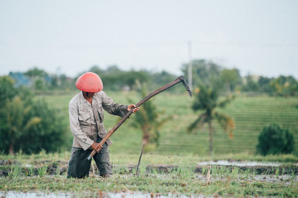 Photograph by Евгений Старков