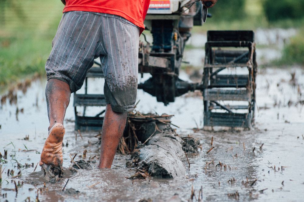 Photograph by Евгений Старков
