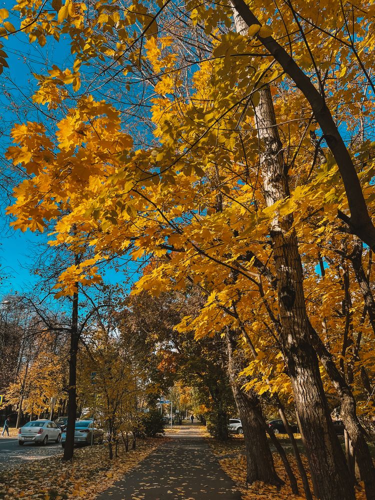 Photograph by Olga Molchanova