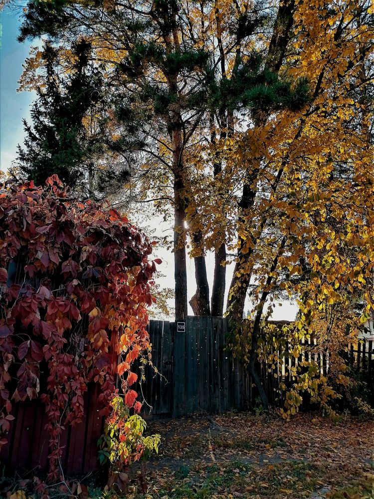 Photograph by Оксана Кабакова