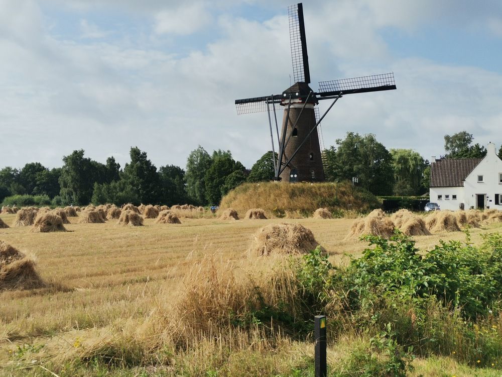 Фотография автора Stoyan Blagoev