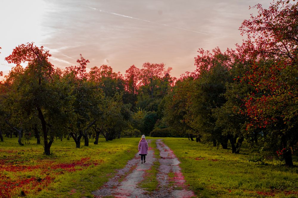 Photograph by Алексей Поляков
