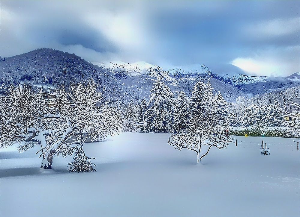 Photograph by Catherine