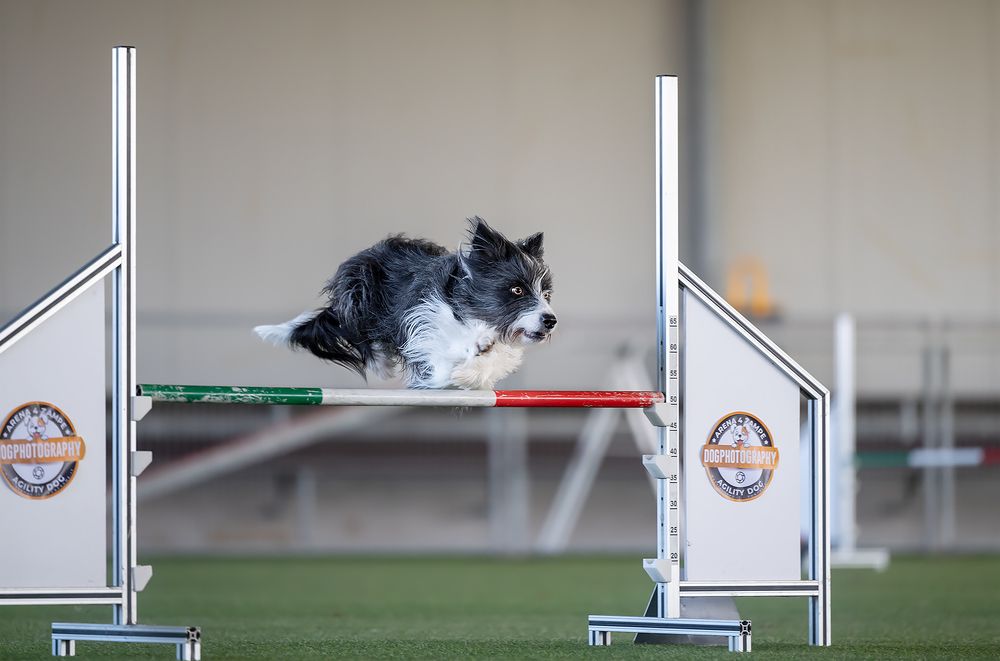 Concentration and speed