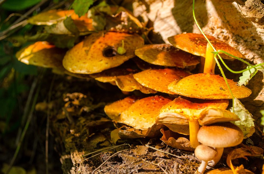 Photograph by Евгений Юдин