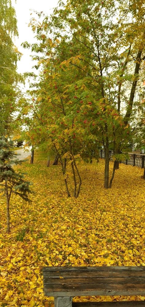 Photograph by Юлия