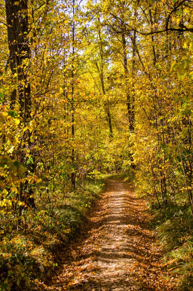 Photograph by Евгений Юдин