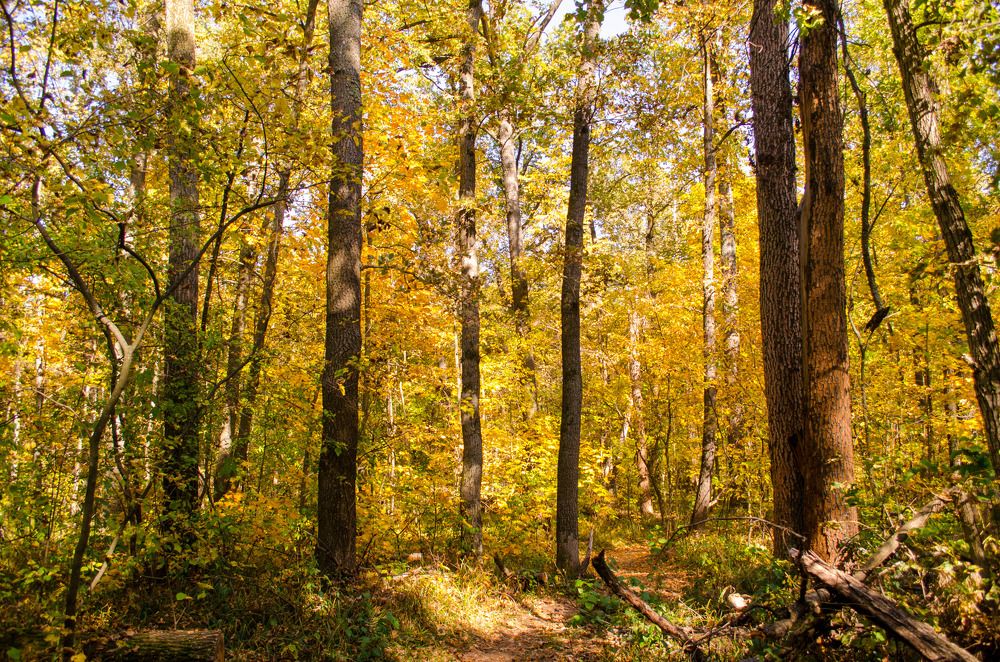 Photograph by Евгений Юдин