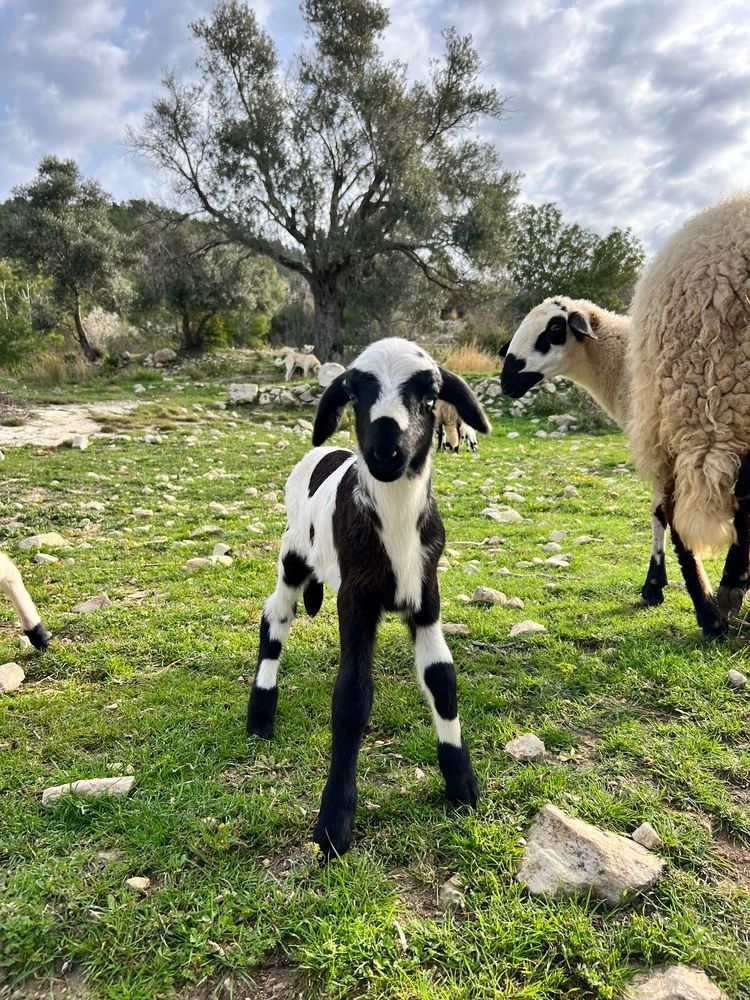 Photograph by Татьяна Унал