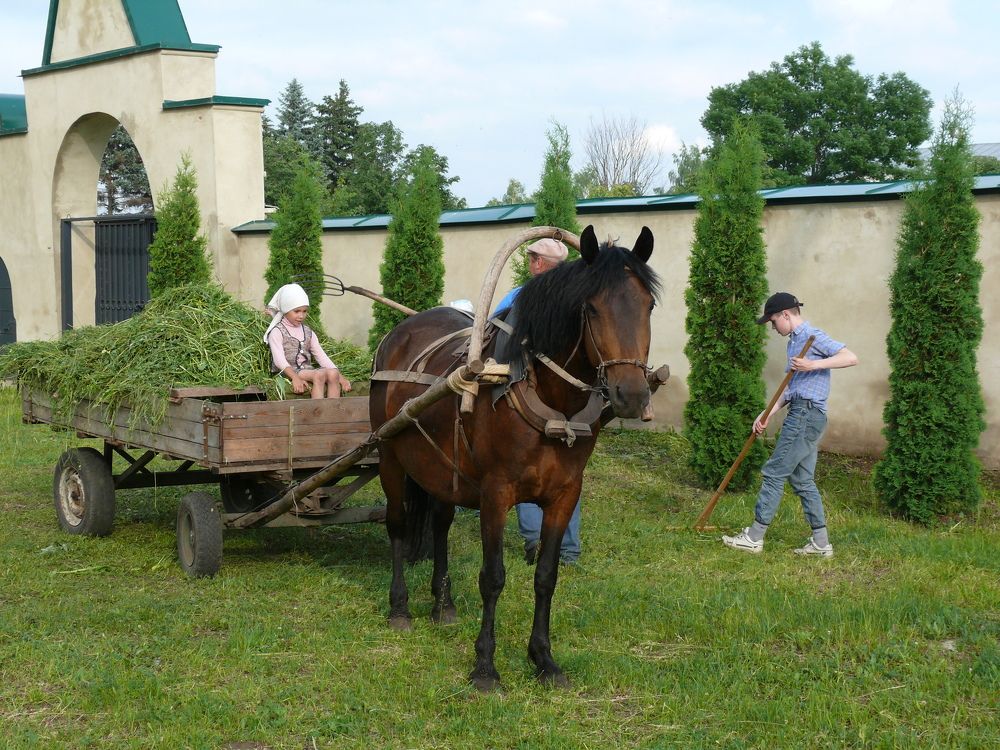 Photograph by Елена Попова