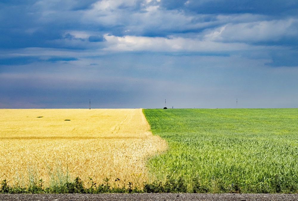 Photograph by Роман