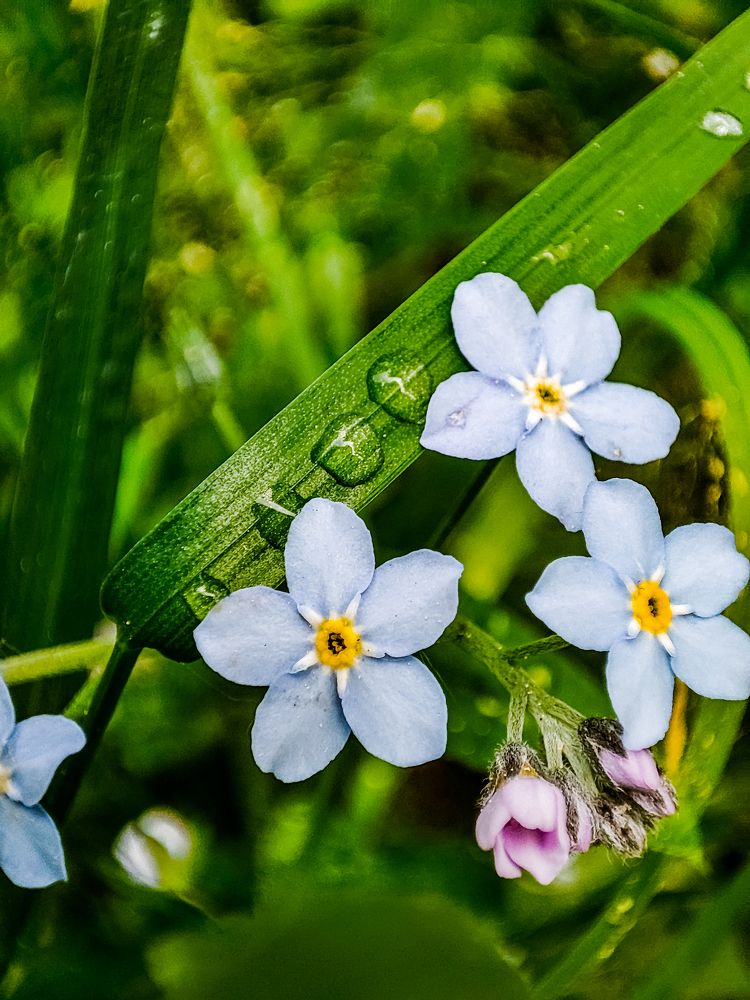 Фотография автора Нина Зинченко