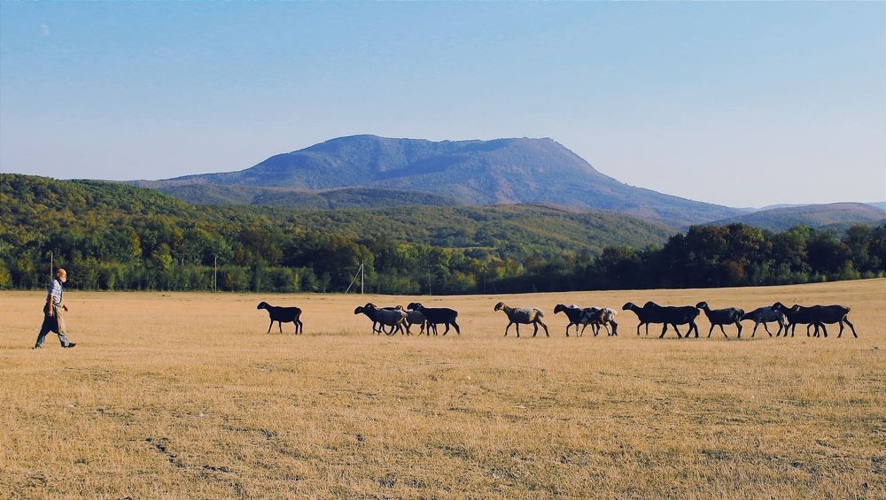 Photograph by Татьяна Исаева