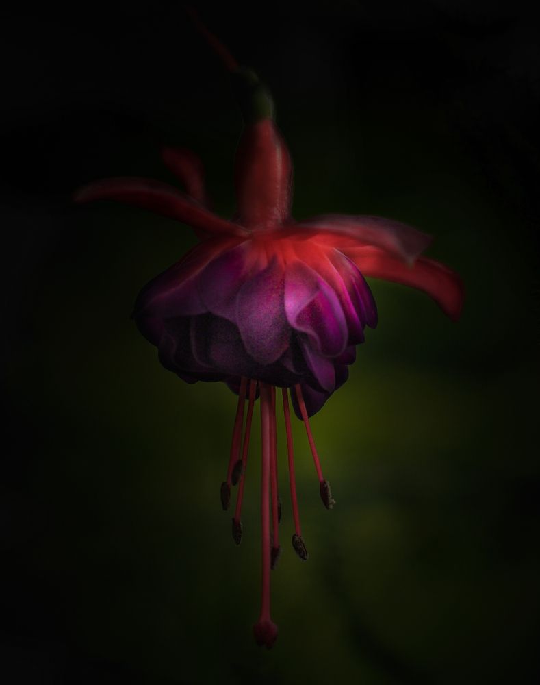 Photograph by Андрюс Киркляускас