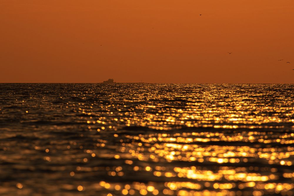 Photograph by наталья залогина