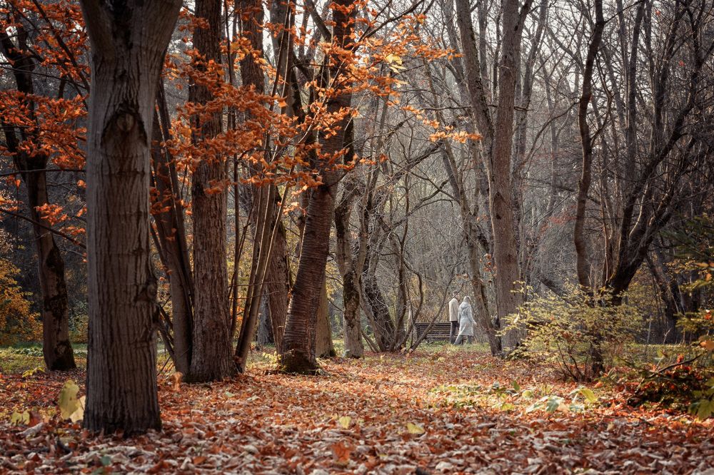 Осенний парк