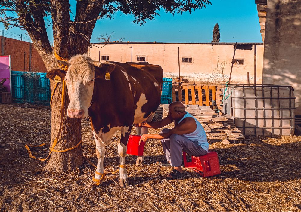 Фотография автора Fethi South Sider