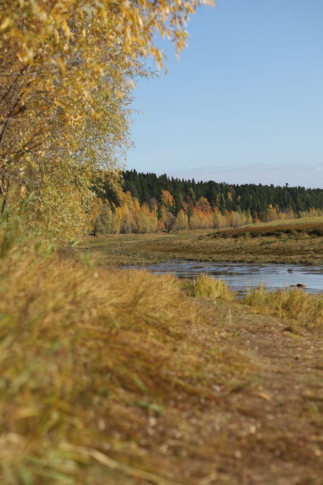 Photograph by Бальзирова Наталья