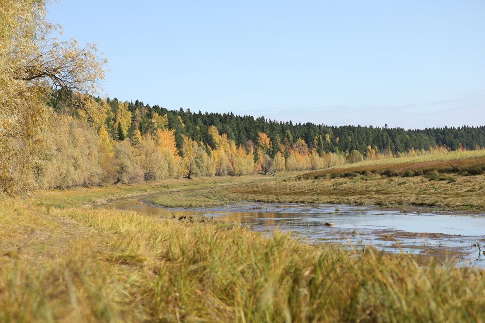 Photograph by Бальзирова Наталья