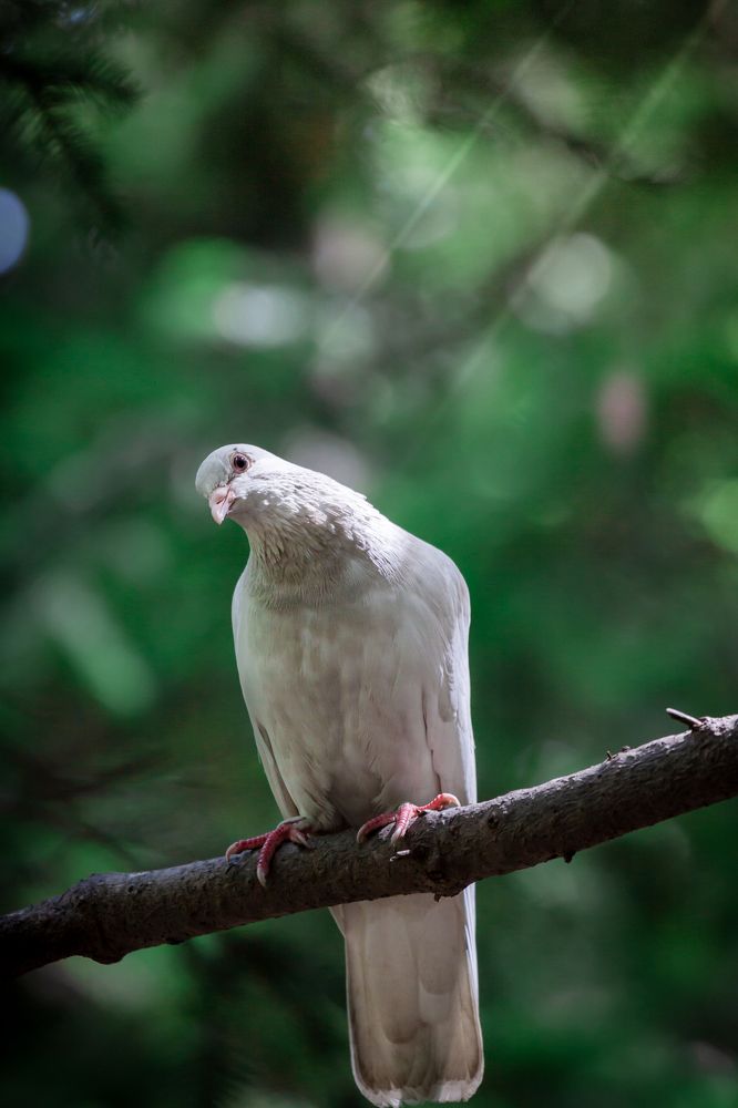 Photograph by Наталья Островцева