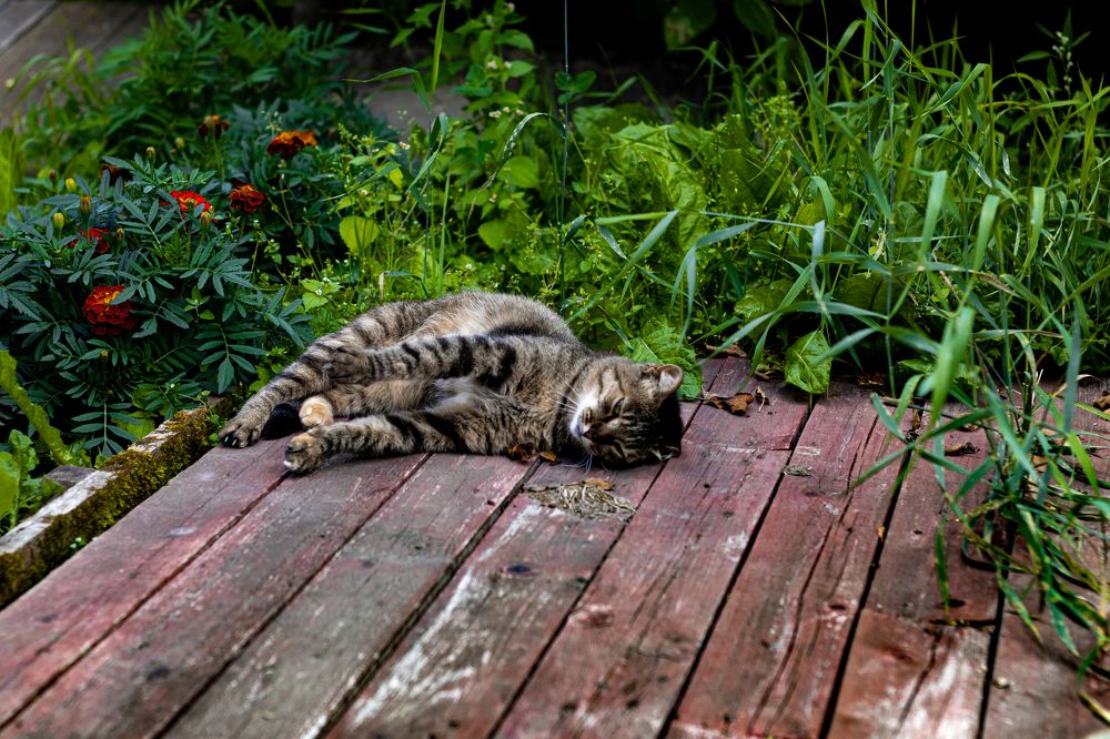 Photograph by Сергей Аникушин