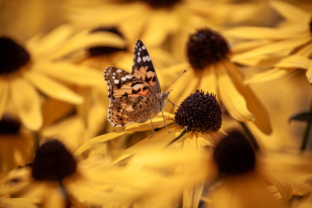 Photograph by Наталья Островцева