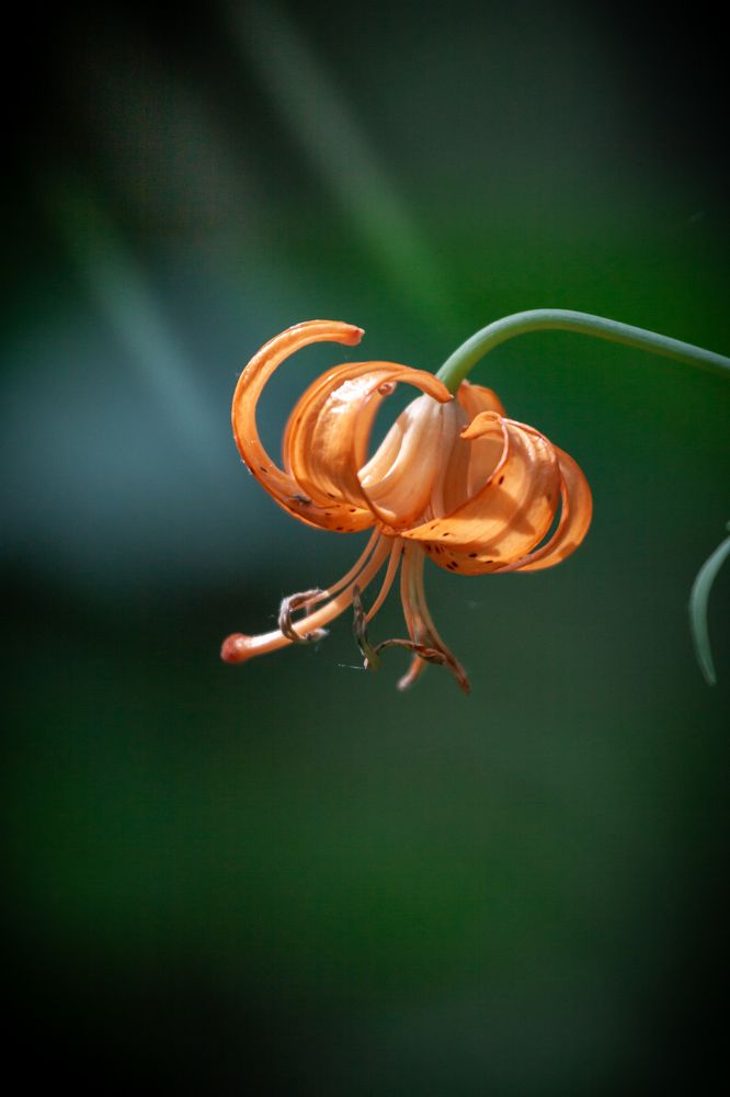 Photograph by Наталья Островцева