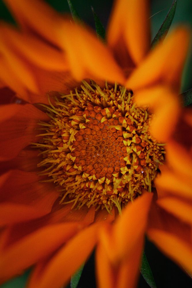 Photograph by Наталья Островцева