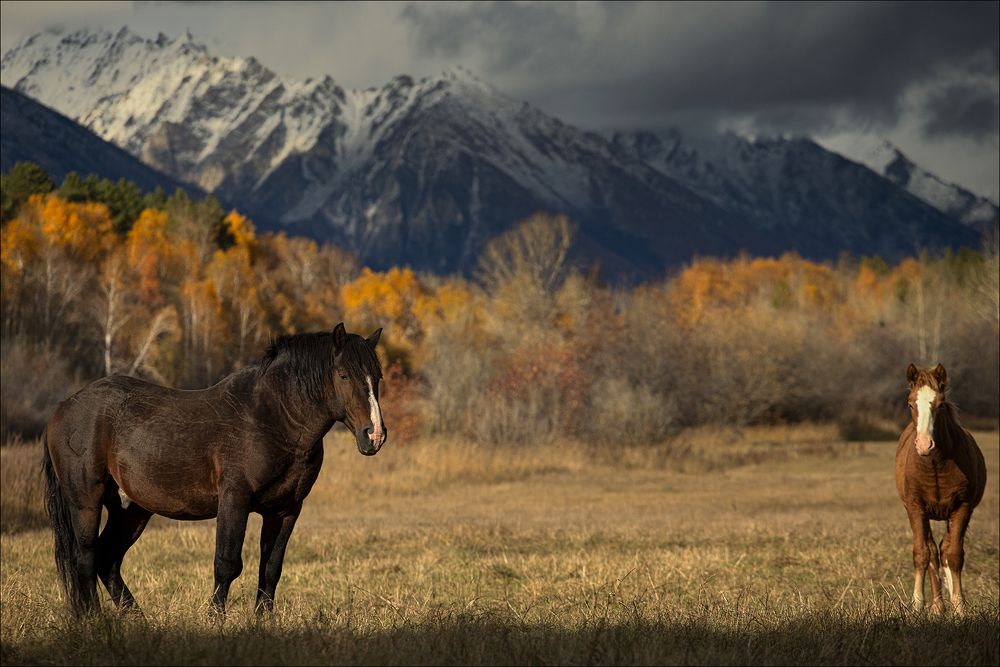 Photograph by Стас Кадрулёв