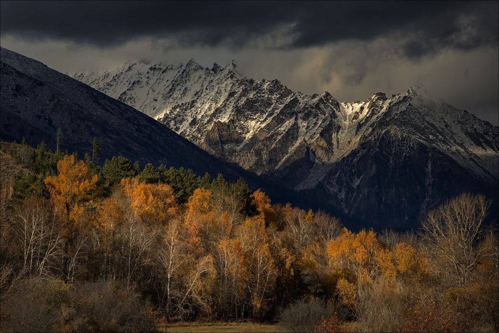 Photograph by Стас Кадрулёв